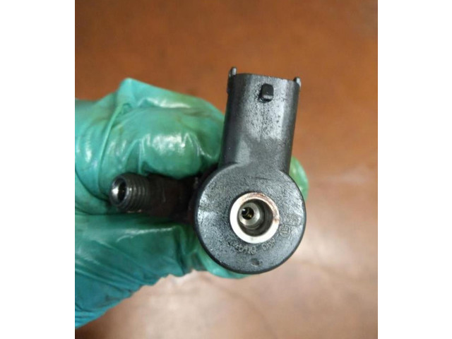 Форсунка 0445110059, 0445110059    Jeep Cherokee III KJ   