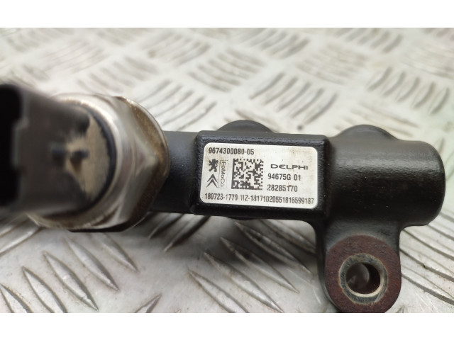 Комплект системы впрыска топлива 9674300080, 9674984080    Ford Kuga II  xrmc 