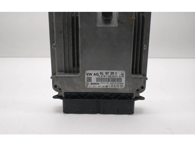 Řídící jednotka 04L907309P, 0281031483 Volkswagen Tiguan 2008