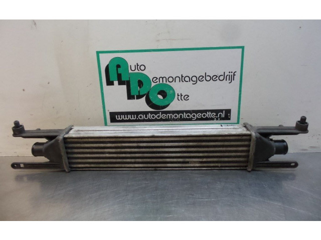 Интеркулер 8A0050000, 8A0050000 Alfa Romeo Mito