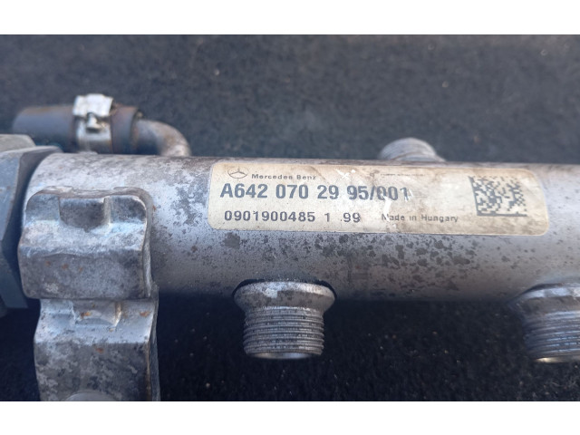 Vstřikovací lišta A6420702995, A6420700146 Mercedes-Benz E C207 W207