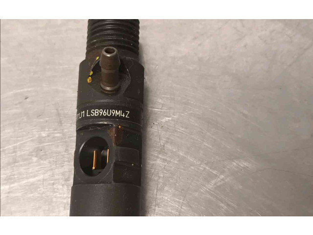 Форсунка 132111045242    Renault Twingo II   