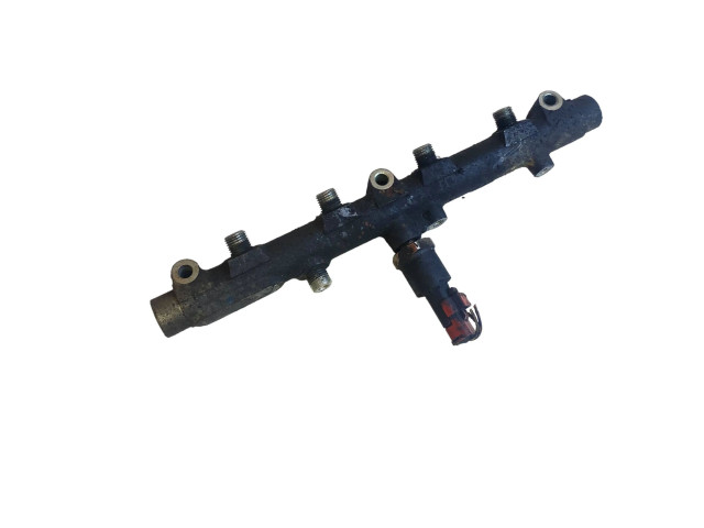 Vstřikovací lišta 0445214017, 008334 Peugeot 607