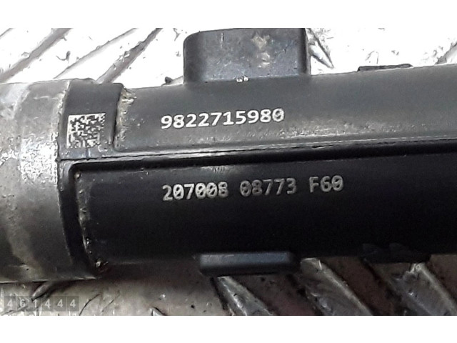 Vstřikovač 9822715980 Opel Corsa F