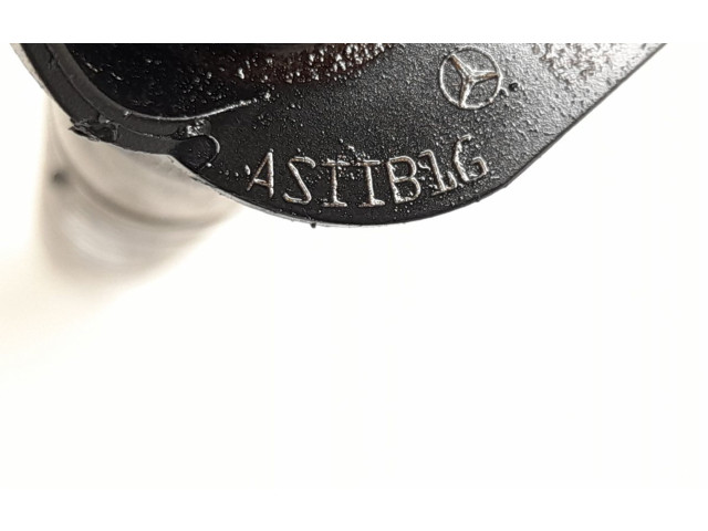 Форсунка 6420701387, 6420701987    Mercedes-Benz R W251  OM 642.950 