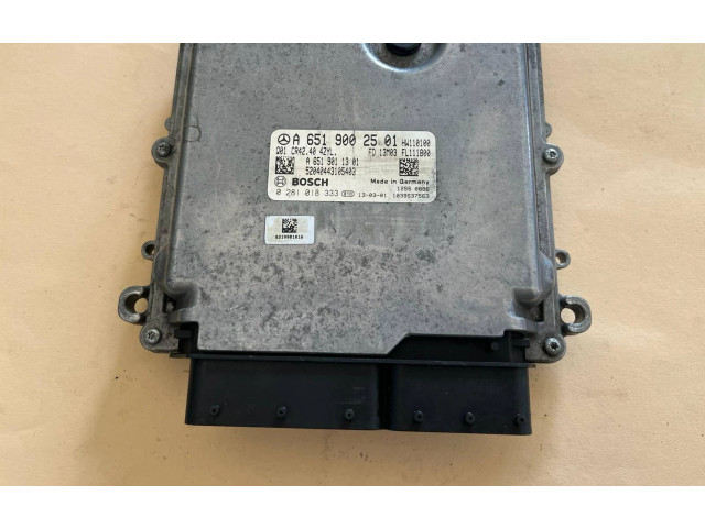 Řídící jednotka A6519002501, 0281018333   Mercedes-Benz GLK (X204) 2011