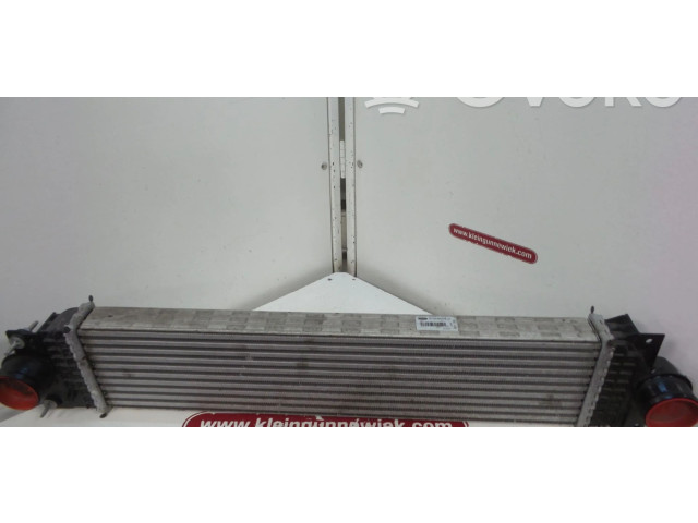 Интеркулер E1G36K775JA Ford Galaxy