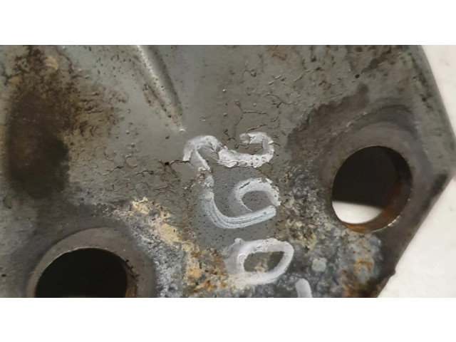 Задняя нижняя петля