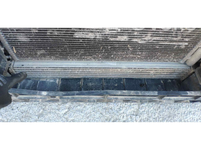 Интеркулер Skoda Fabia Mk2 (5J)