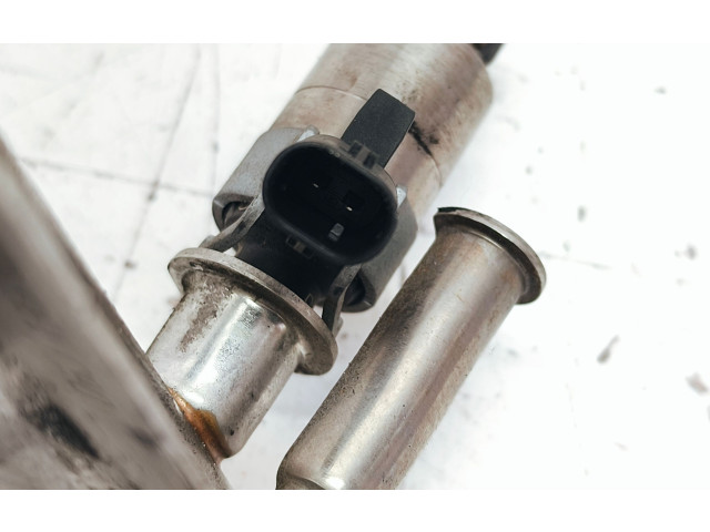 Комплект форсунок 1019139S02, 06J133317M Audi Q5 SQ5 CHJ