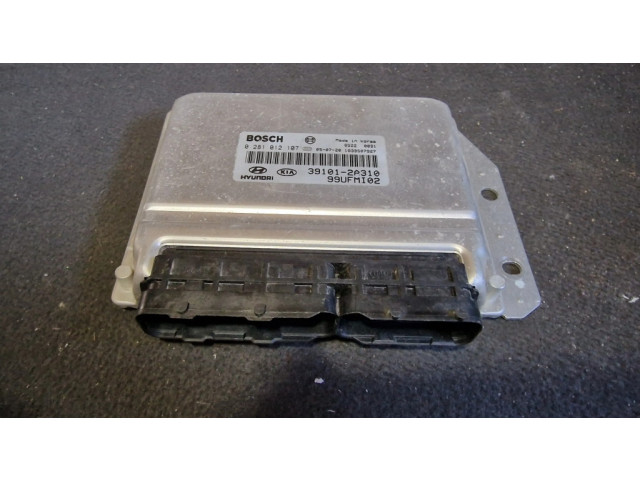 Řídící jednotka 391012A310, 0281012107 Hyundai Matrix 2004