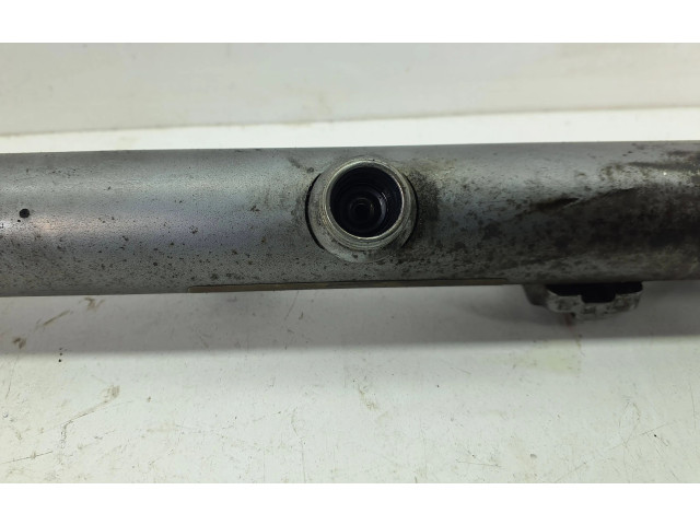 Vstřikovací lišta A6420703095, 1010900246 Mercedes-Benz E W212