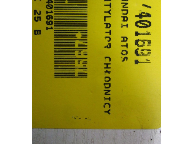 Вентилятор радиатора 4569631, 4569631 Hyundai Atos Prime