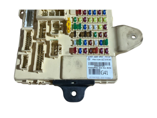 Блок предохранителей 954002P960, XM960B5V0031 KIA Sorento