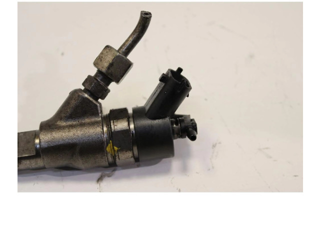 Форсунка 0445110076    Peugeot Expert  RHX 