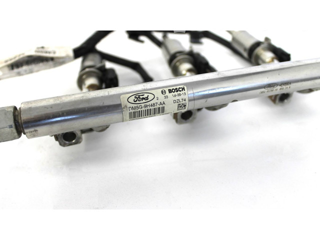 Топливная рампа DM5G9H487AA   Ford Ranger  