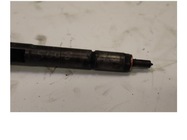 Vstřikovač 0445110297 Peugeot 5008 9HZ