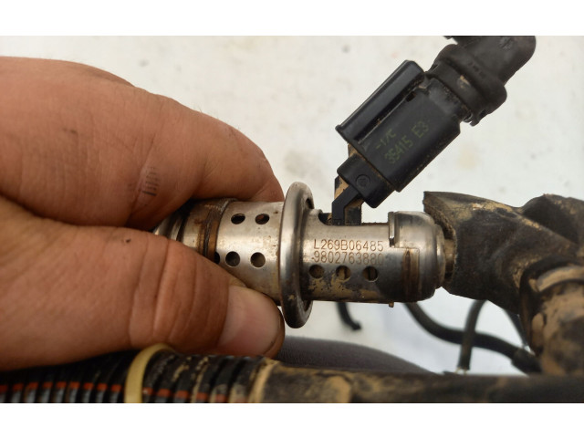 Форсунка 9802763880, 73011MEATDORIA Citroen C4 II Picasso