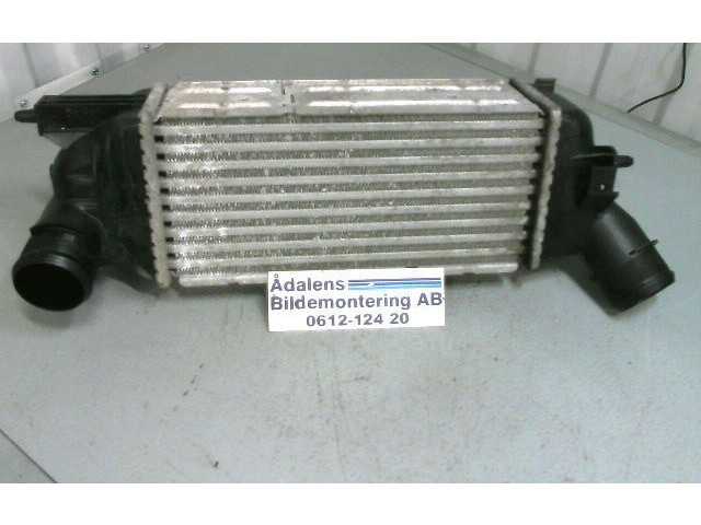 Интеркулер 9645682880, IA1095-874823NK Citroen C5