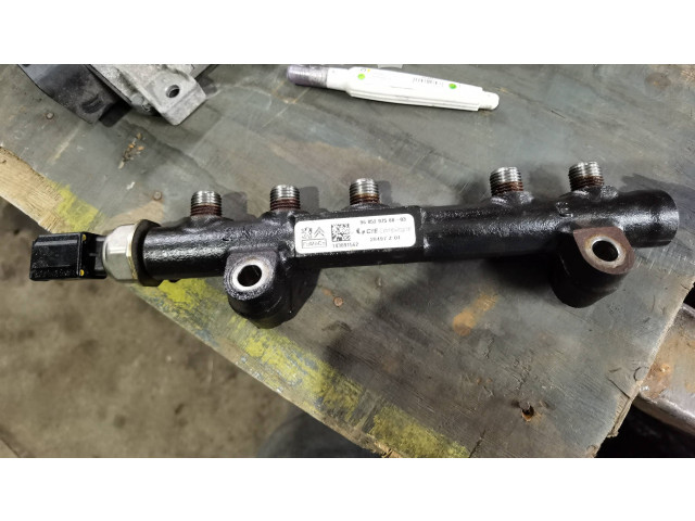 Магистральная трубка топлива 9685297580, 28497Z01 Citroen C4 Grand Picasso