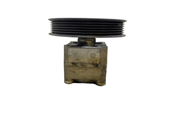 Поршень Насос усилителя руля D 5244 T 7613955141, 8683377  Volvo V70  