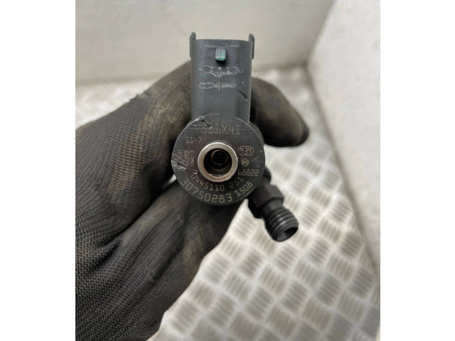 Форсунка 0445110251, 30750283 Volvo S80