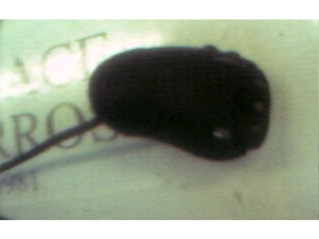 Блок управления Renault Clio II