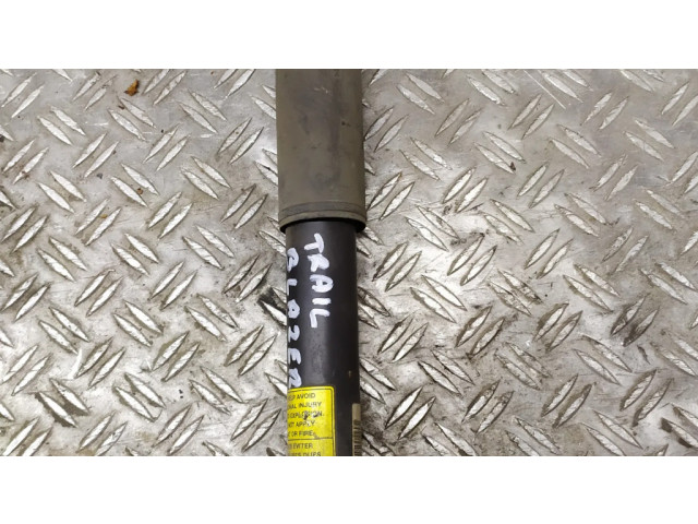 Задний aмортизатор      