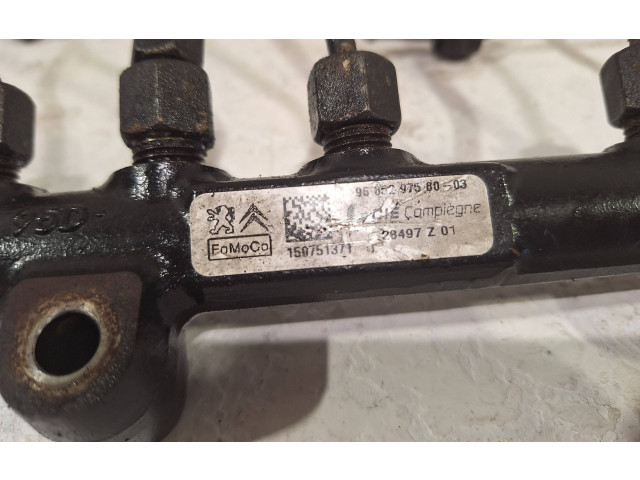 Топливная рампа 9685297580 Citroen C4 II Picasso