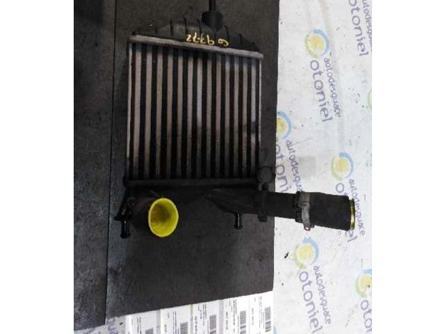 Интеркулер     Fiat Punto Evo 