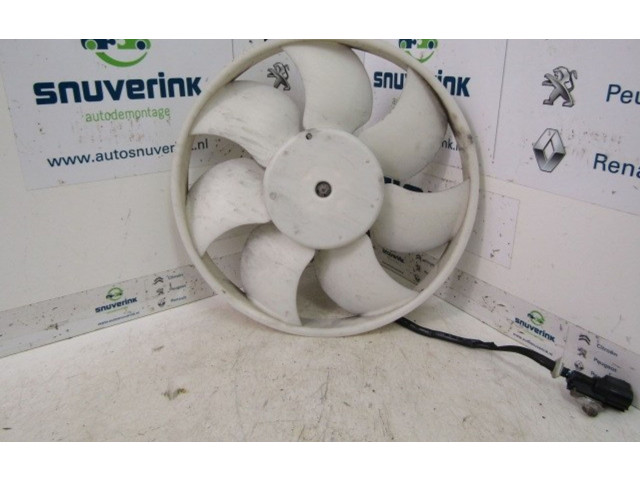 Комплект вентиляторов     1253G9, 1253G9    Citroen C1 