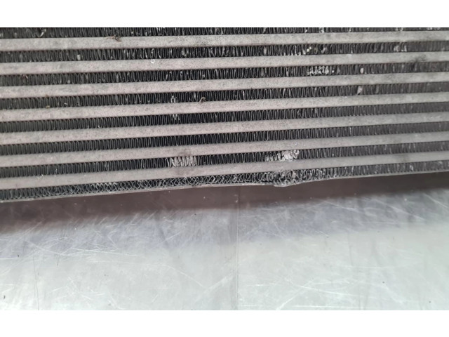 Интеркулер  8200880552, 1100229446   Dacia Duster 