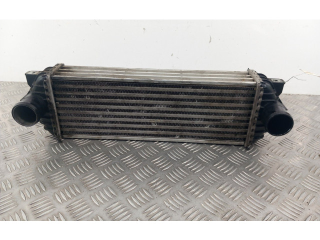 Интеркулер 4999282 Ford Transit - Tourneo Connect