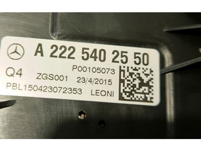 Pojistková skříňka A2225402550 Mercede-Benz S W222 2017