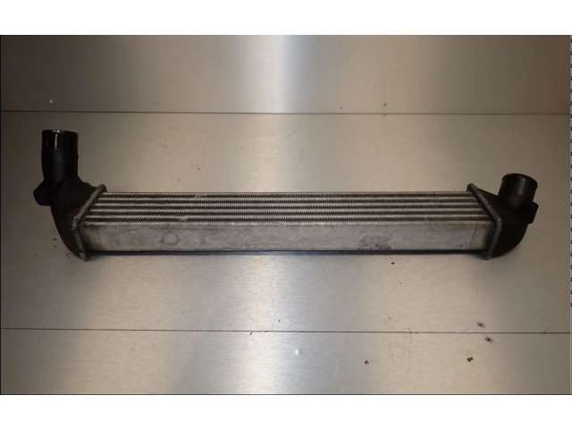 Интеркулер  8200742599   Renault Clio II 