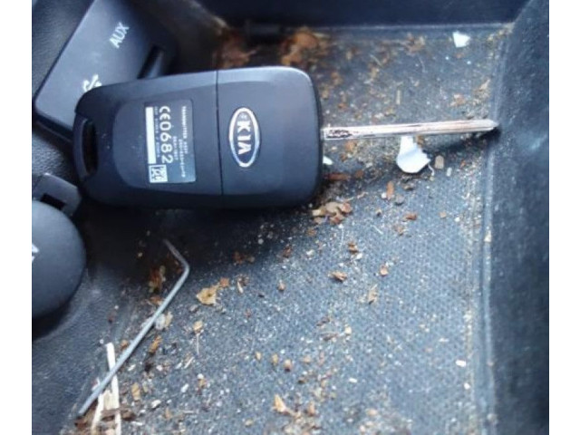 Вентилятор печки 971132L000 KIA Pro Cee'd I