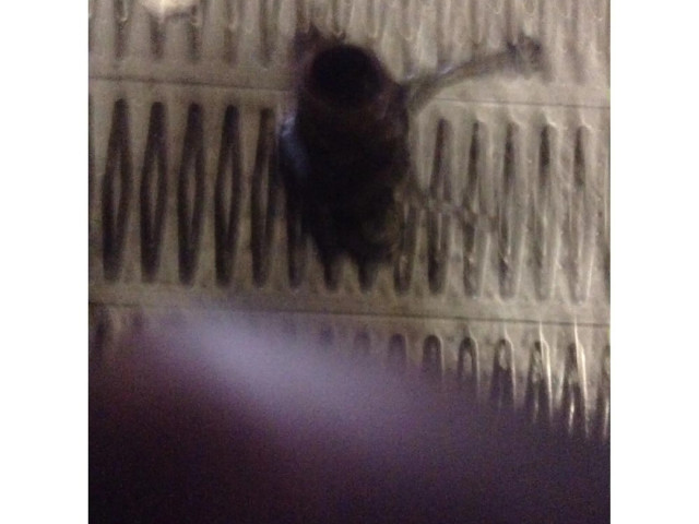 Turbodmychadlo Турбина BMW 5 E39