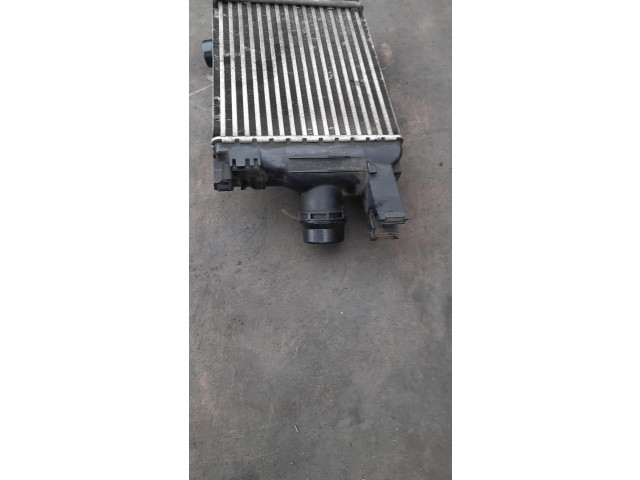 Интеркулер 144965154R Dacia Duster II