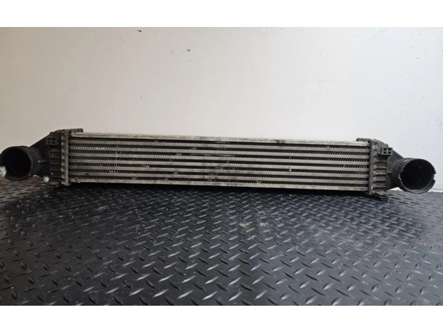 Интеркулер  A1695000000   Mercedes-Benz A W169 