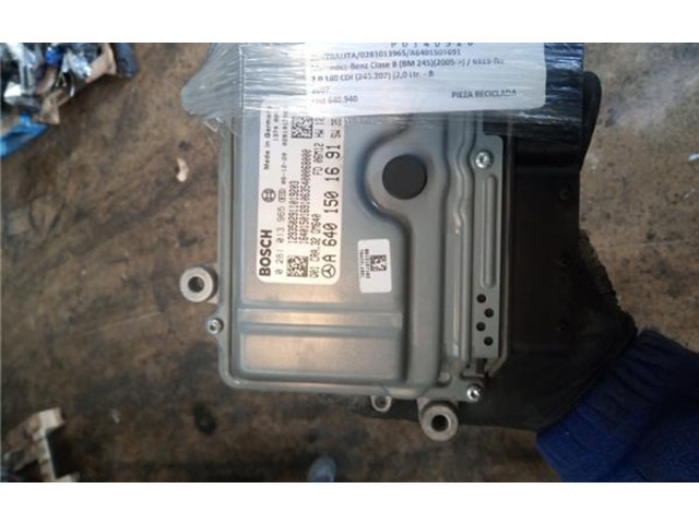 Řídící jednotka A6401501691, 281013965 Mercedes-Benz B W245 2007