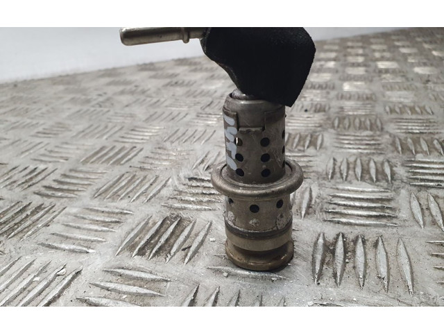 Vstřikovač 9802763880 Citroen Berlingo BH02