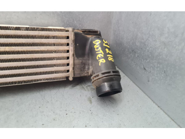 Интеркулер 8200880552, IA2002 Dacia Duster