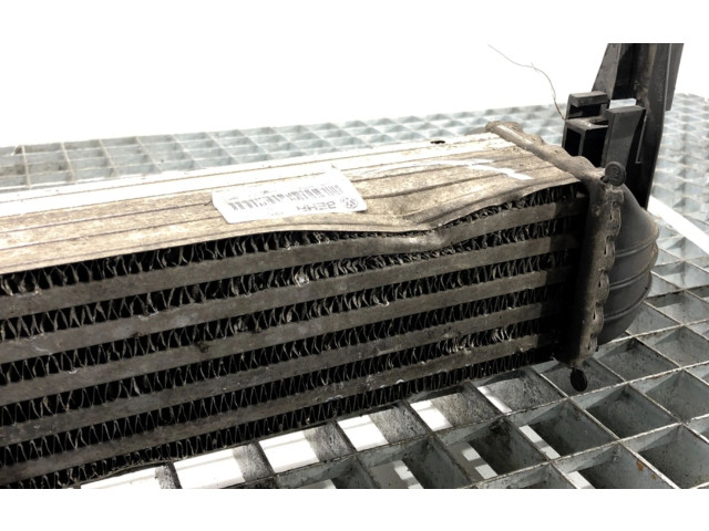 Интеркулер Y3427002 Skoda Rapid (NH)