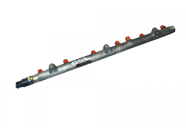 Vstřikovací lišta 0445216002, 008948 BMW X5 E53 M57 D30 (306D1)