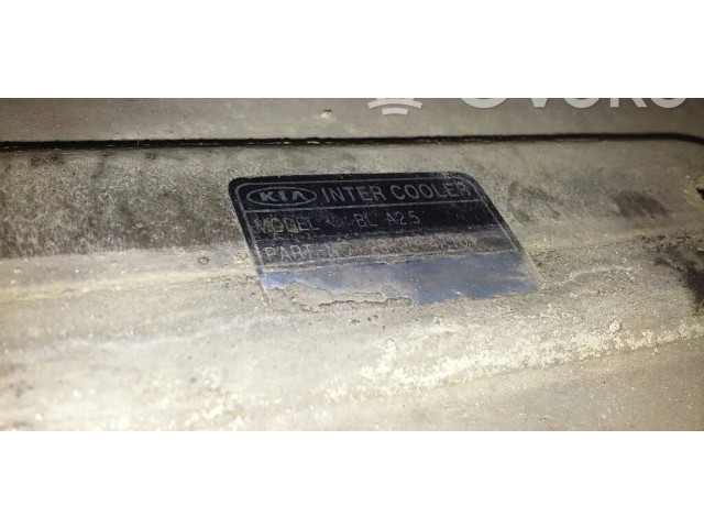 Интеркулер  281904A101   KIA Sorento 