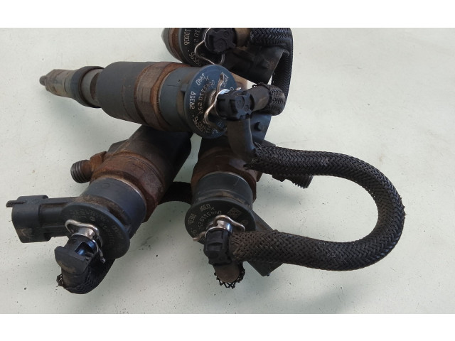 Комплект форсунок 0445110252 Citroen Nemo