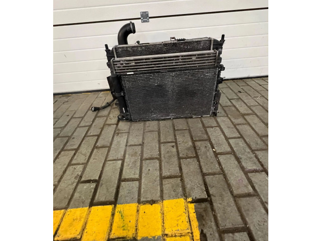 Комплект радиатора     CX2319710AB, 9400116    Jaguar XF X250 