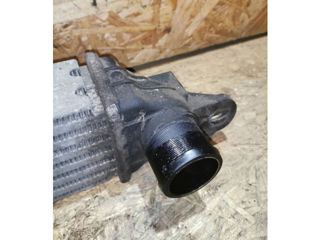 Интеркулер 52429458, 202922 Opel Meriva A