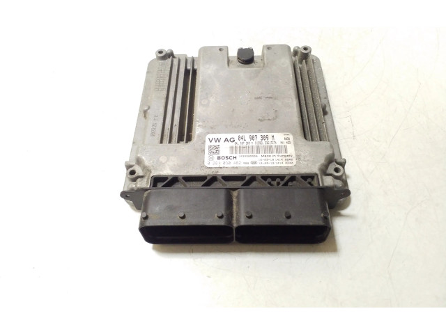 Řídící jednotka 04L907309M, 0281030462 Volkswagen Tiguan 2017