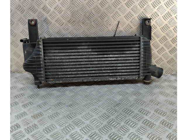 Интеркулер 14461EB360 Nissan Pathfinder R51
